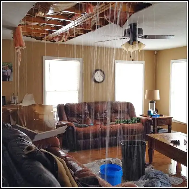 Water Damage Restoration services in Cleveland, TN